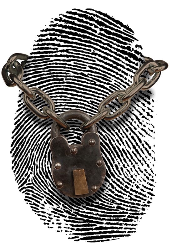 Fake Identity Fraud: Protection through Awareness