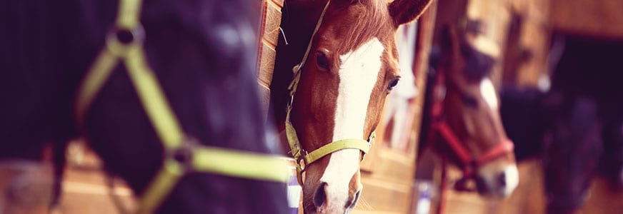 They Shoot Treasurers, Don’t They?