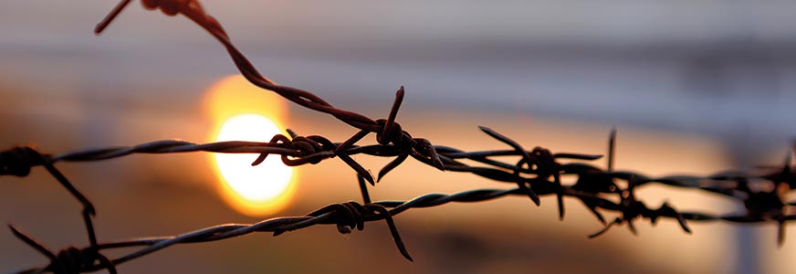 ICRC: Payments on the Front Line