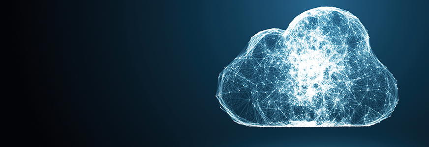 Hybrid Cloud ERP: Taking Treasury by Storm