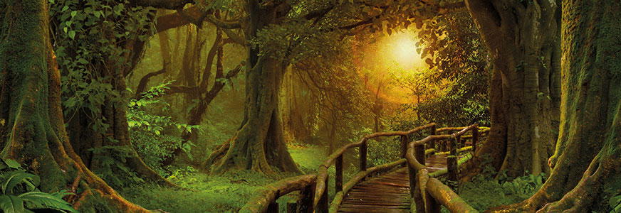 Who Cares Wins: Leading the Sustainable Charge