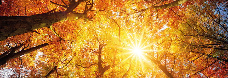 Planning for Treasury Tomorrow