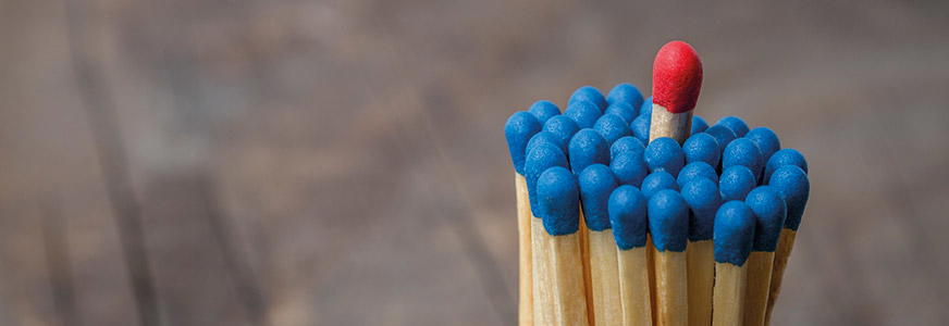 Spot the Difference: Isn’t Every TMS the Same?