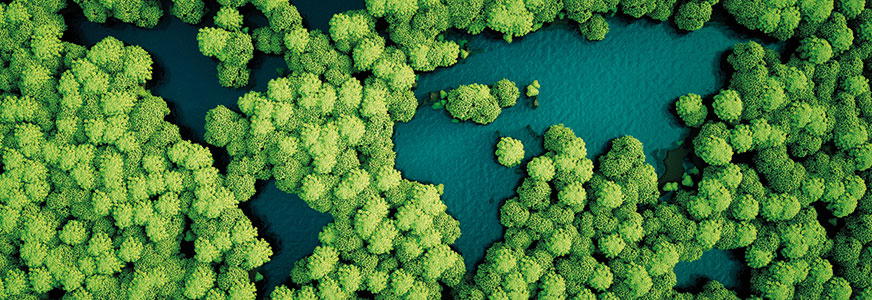 Going Green with Bonds