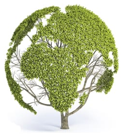 Global Growth Generators: A New Economic Picture for 2050