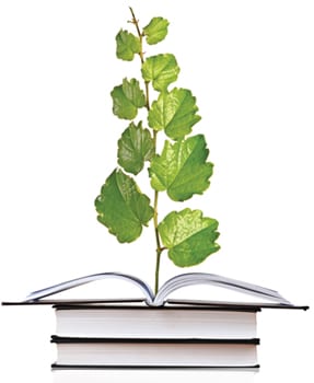 Everything You Always Wanted to Know About EMIR Reporting