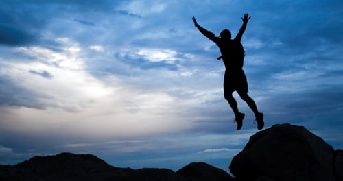 Risk Appetite: Fight or Flight?