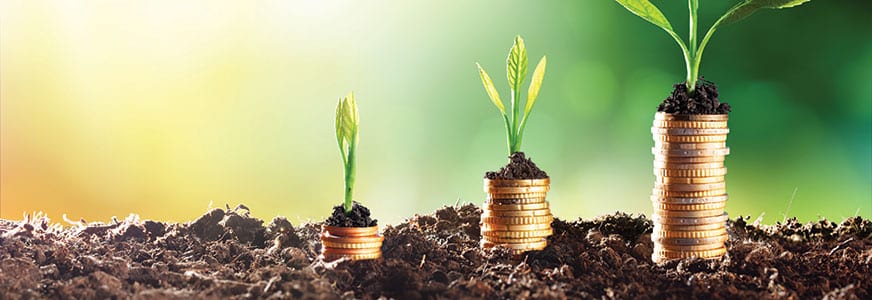 A New Era for Corporate Cash Investment?