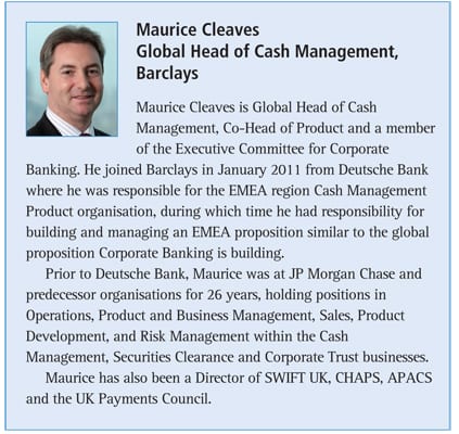 The Multi-Banking Decision