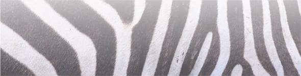 Challenges in Sub-Saharan Africa