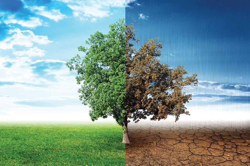 Basel III: Collateral Damage or Emerging Opportunity?