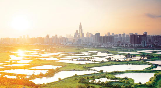 Connecting China into the Global Business