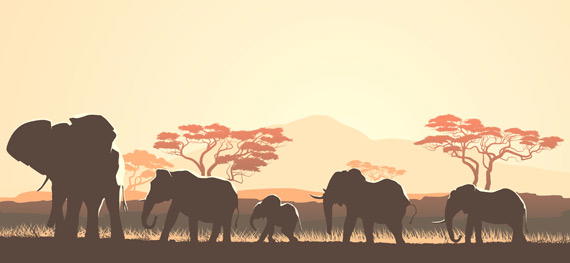 Winning the Africa Marathon