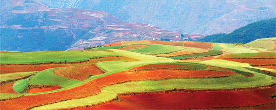 A Milestone in the RMB Liberalisation Journey