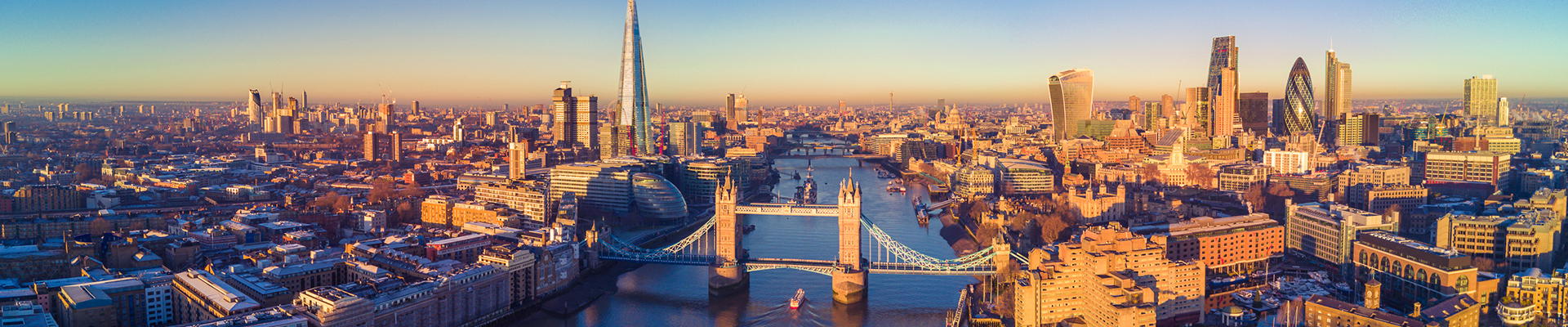 Japan Association for CFOs (JACFO)