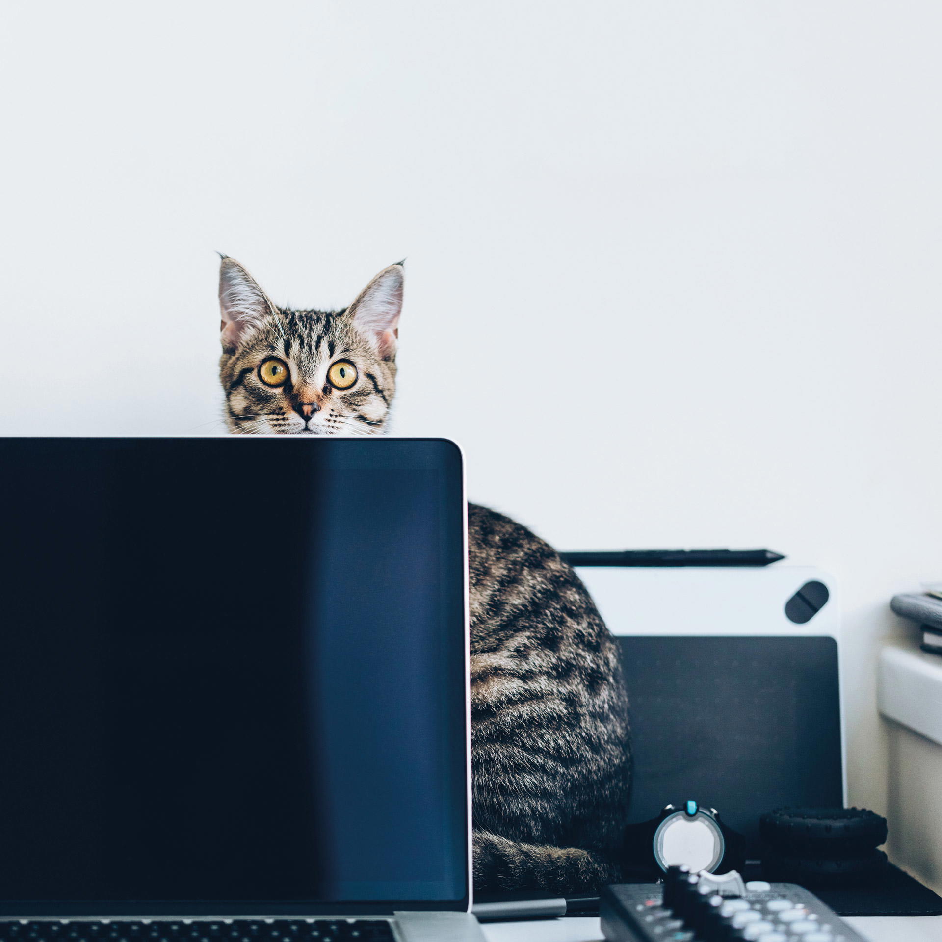 Running an Award-Winning Treasury… From Home