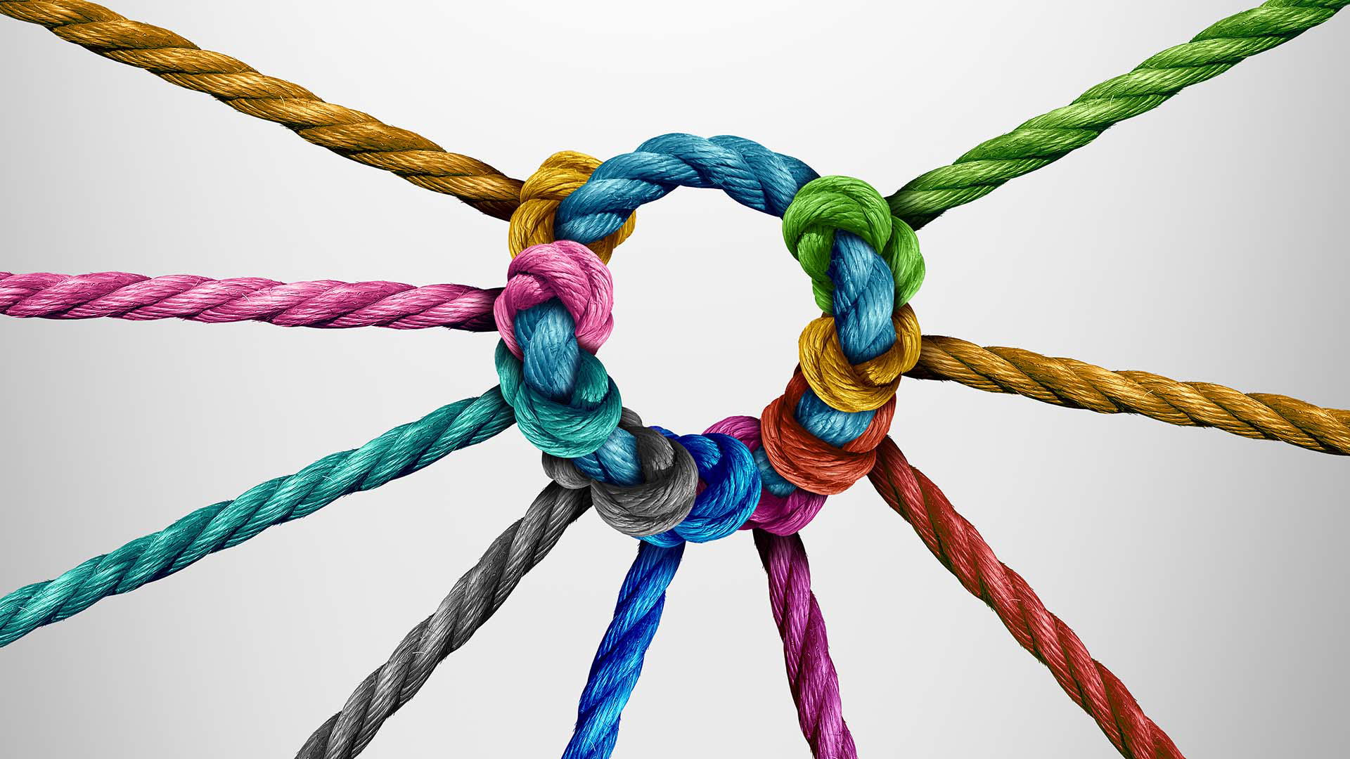 Diversity and Teamwork