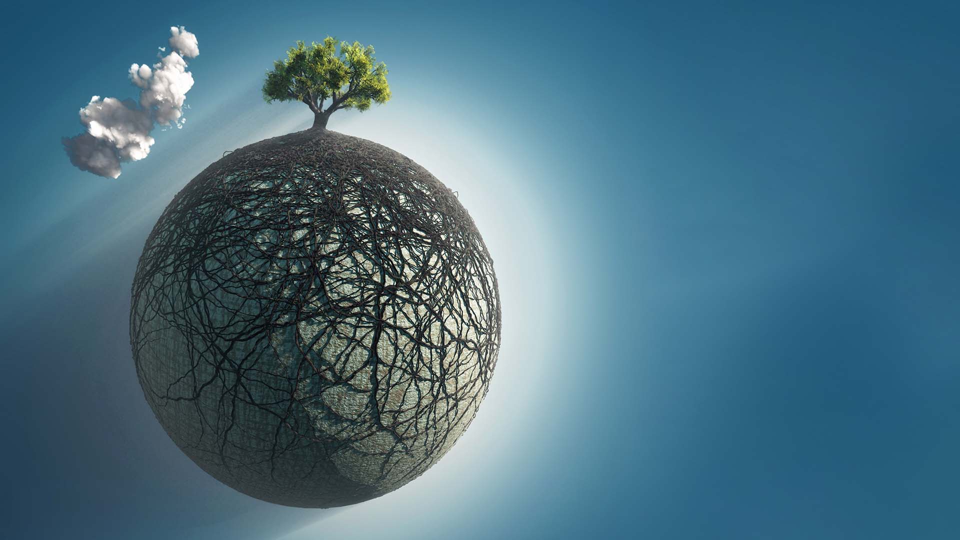 Taking Care of Business