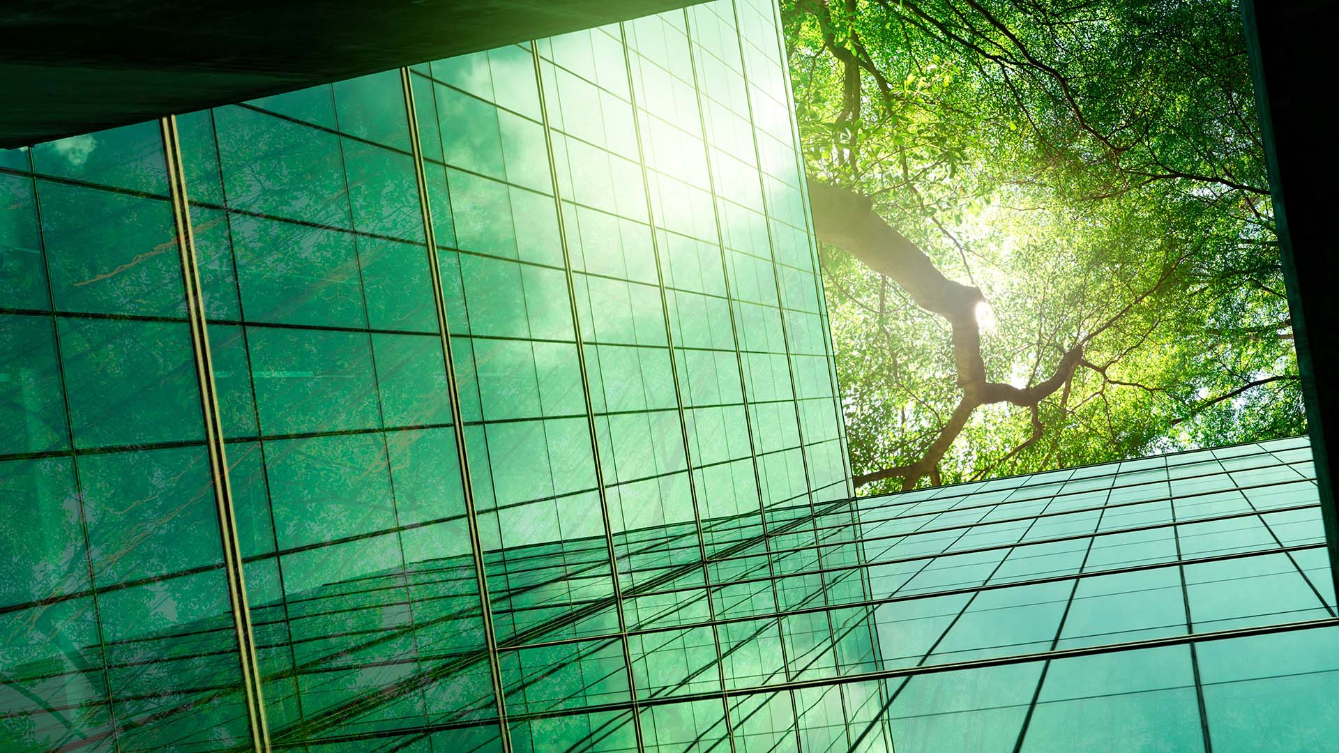 ‘Where the Rubber Hits the Road’: Analysing the ESG State of Play