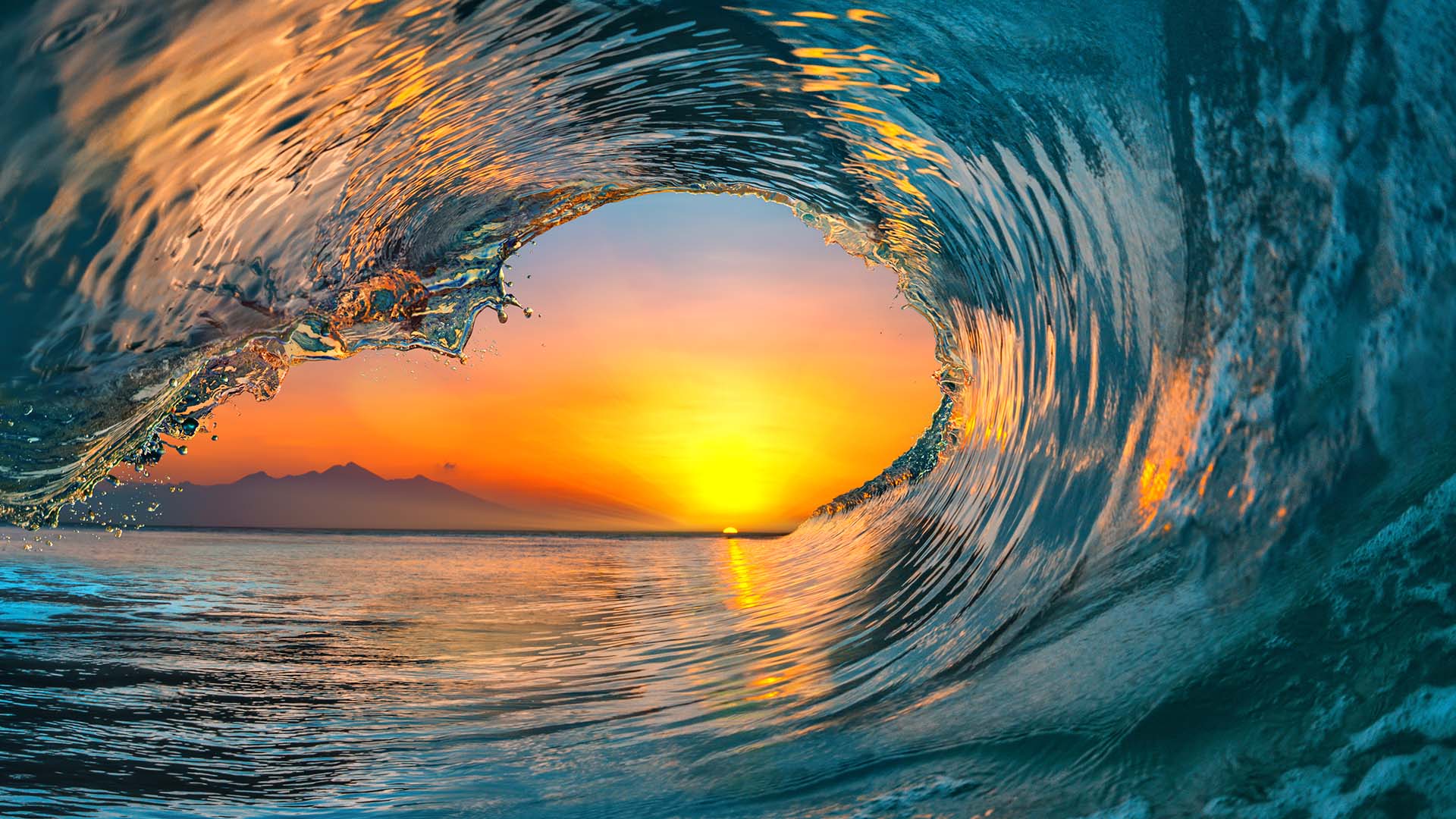 Riding the Crest of the Wave