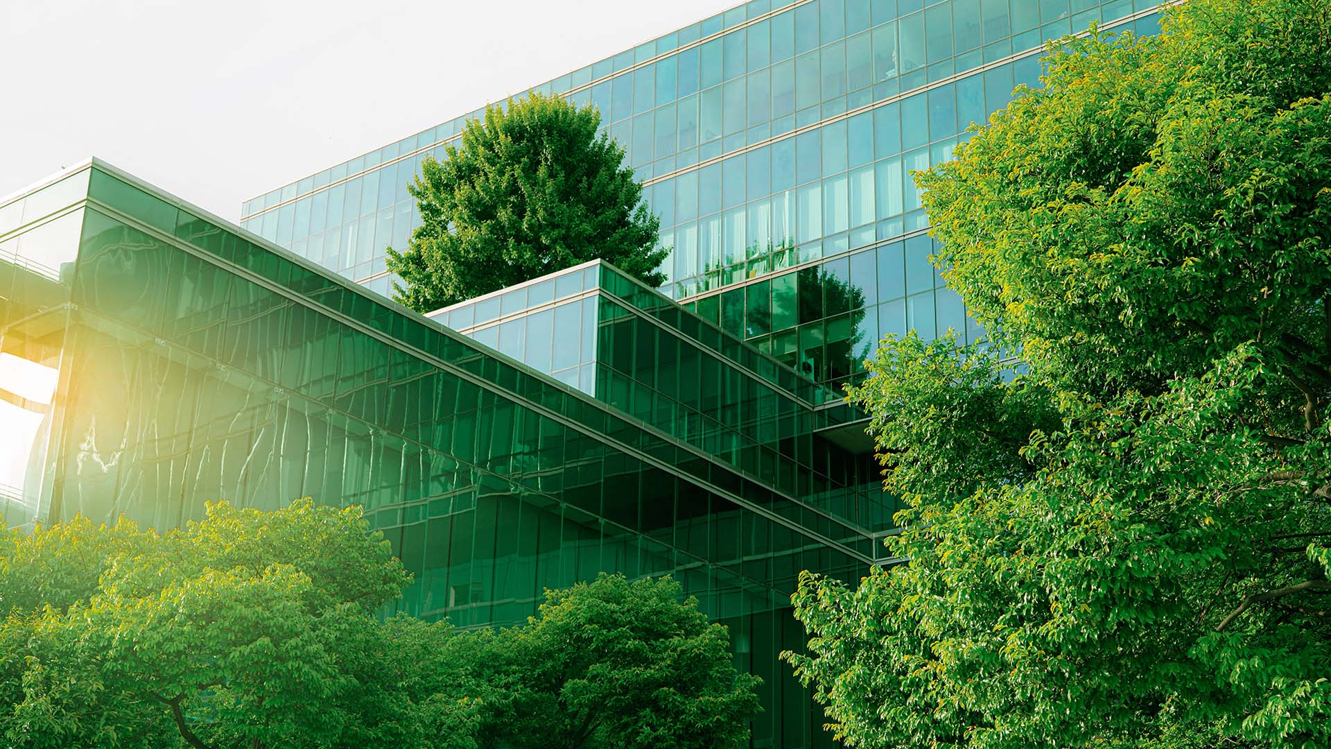 A New Framework for ESG