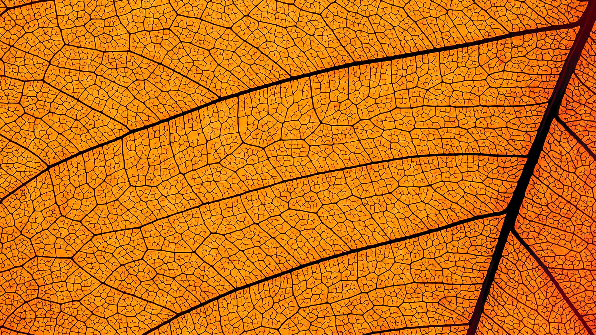 Fintechs vs Banks in the Changing Infrastructure Layer