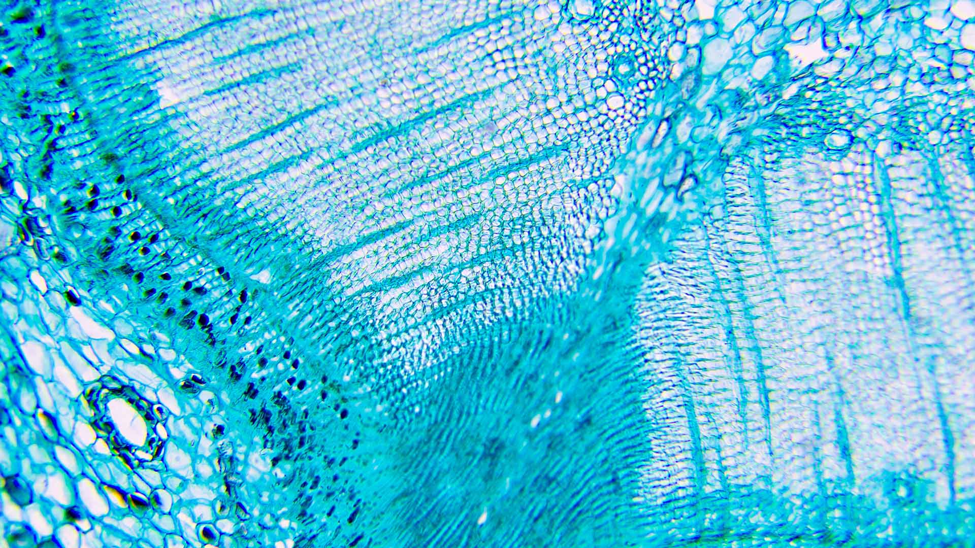 In Search of ISO 20022 Nirvana