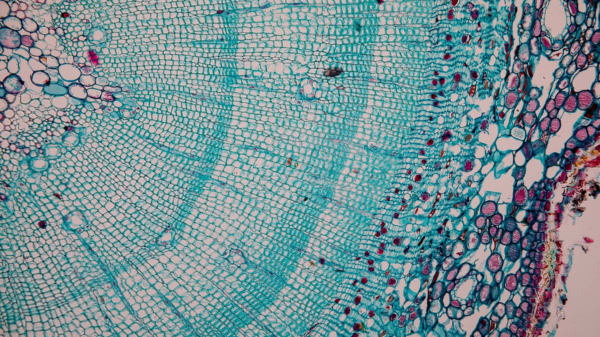 Digitalisation, Data Sharing and Open APIs