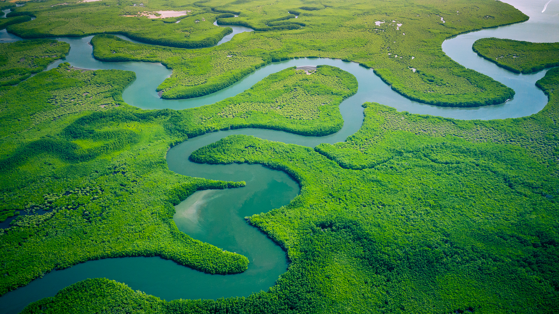 Central Banks Diverge Against Backdrop of Trade Tensions