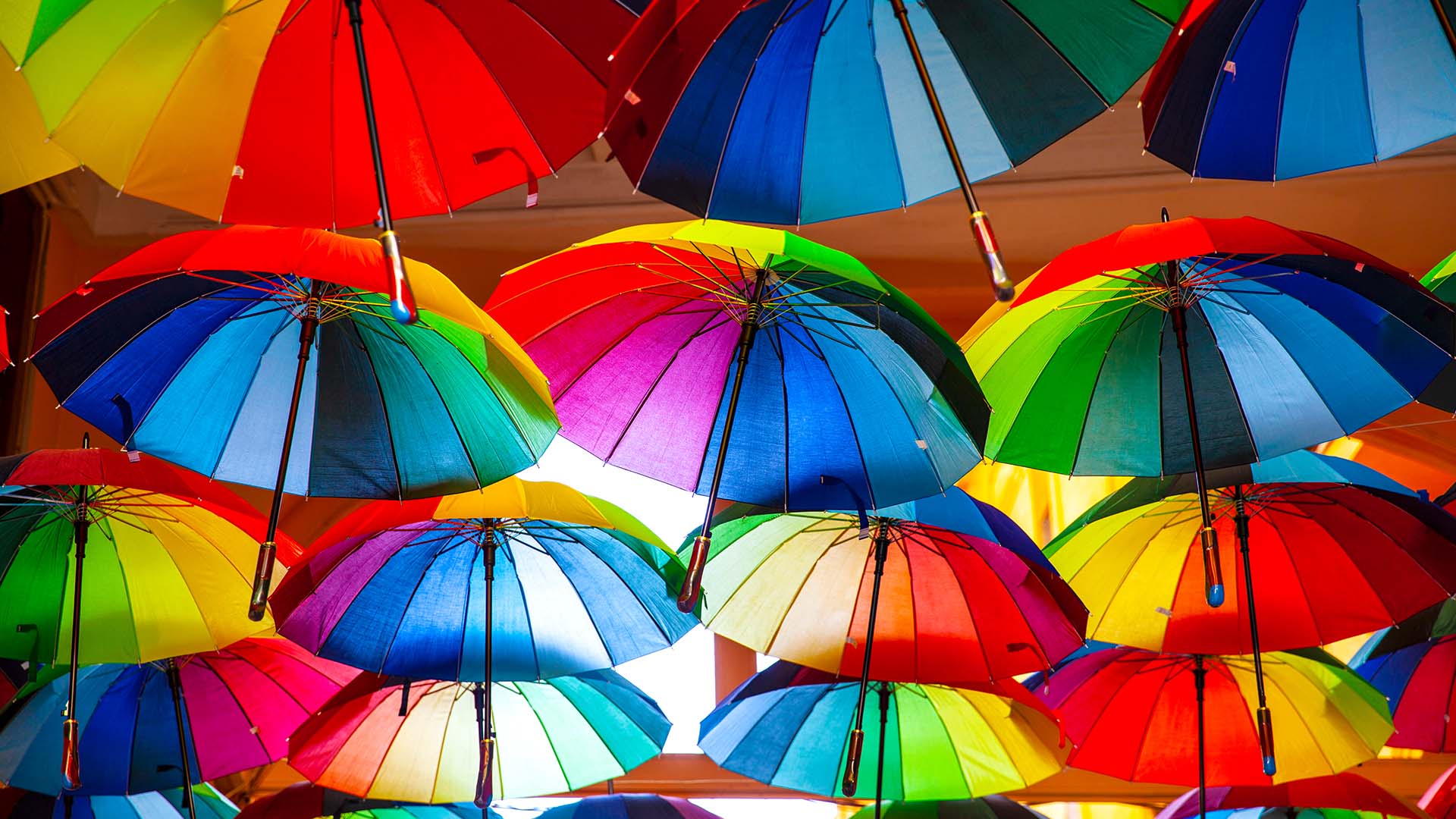 Farewell to DEI, and Welcome a Culture of Belonging