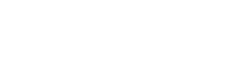 Boggi Group