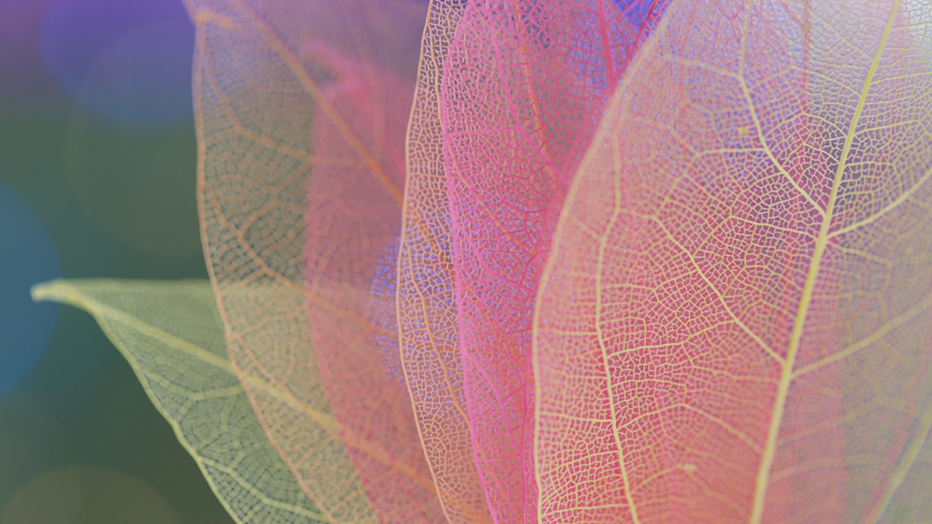 US Leads Easing Talk as Risks Shift