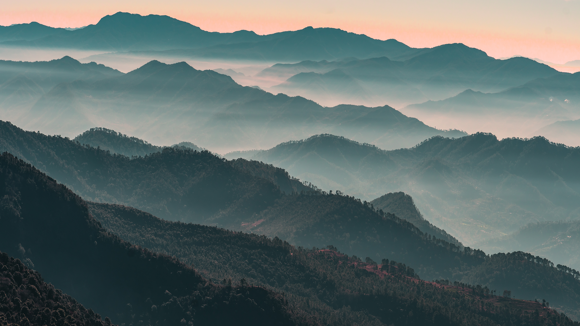 Policy Divergence Widens as Year-End Nears