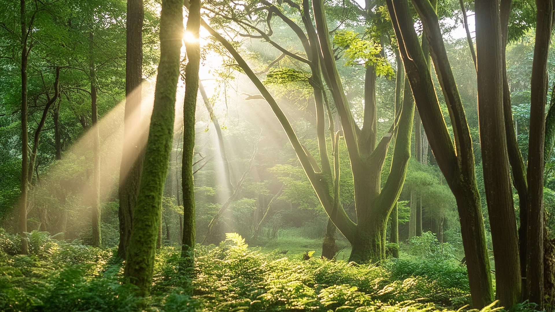 Budget Offers UK Breathing Room But Questions Persist